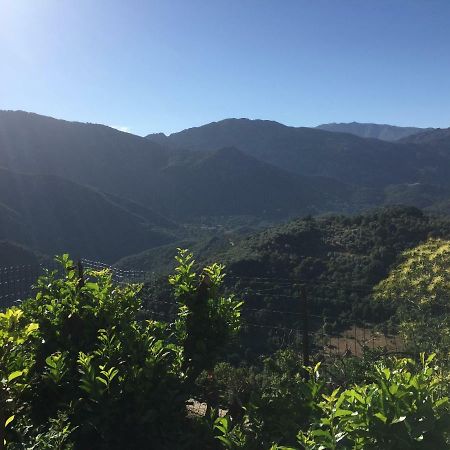Gite , Maison De Vacances Avec Exterieur Et Terrasse Fleurie Meuble Tourisme 3 Etoiles Santa-Lucia-di-Tallano Luaran gambar