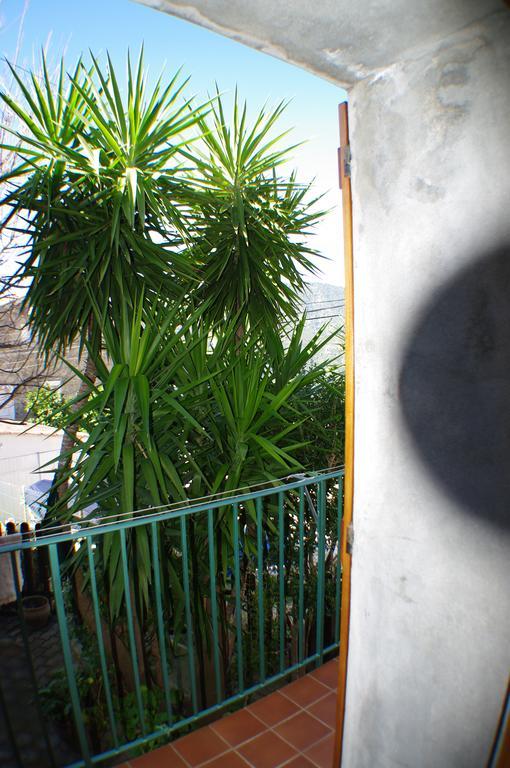 Gite , Maison De Vacances Avec Exterieur Et Terrasse Fleurie Meuble Tourisme 3 Etoiles Santa-Lucia-di-Tallano Luaran gambar