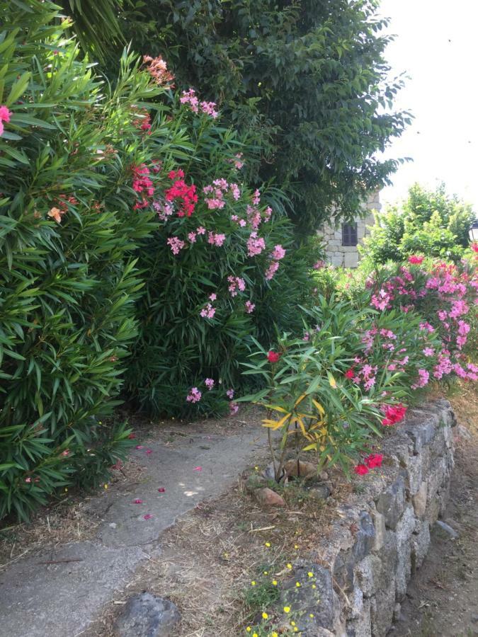 Gite , Maison De Vacances Avec Exterieur Et Terrasse Fleurie Meuble Tourisme 3 Etoiles Santa-Lucia-di-Tallano Luaran gambar