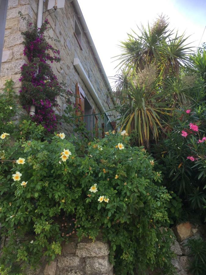 Gite , Maison De Vacances Avec Exterieur Et Terrasse Fleurie Meuble Tourisme 3 Etoiles Santa-Lucia-di-Tallano Luaran gambar